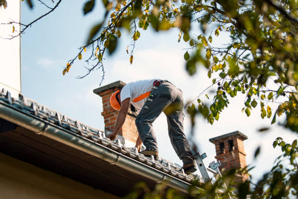 Emergency Roof Repair in Sherman, IL